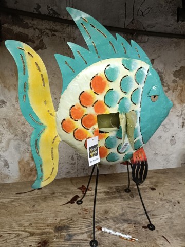 Vis blik heel groot 2