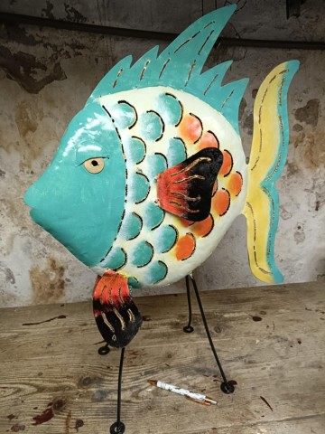 Vis blik heel groot 3